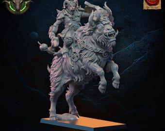 3d Printed Wildhorn Rider Heroine by Lost Kingdom Miniatures
