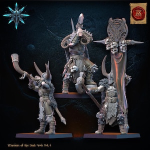 May include: A collection of detailed miniature figurines of warriors, featuring horned helmets, armor, and weapons. The figures are in various poses, with one holding a horn and another carrying a banner adorned with skulls. The text "Warriors of the Dark Gods Vol. 4" is visible.