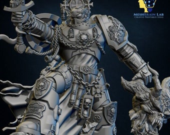 3d Printed Marine Crusader Electus by Meshbrain Labs