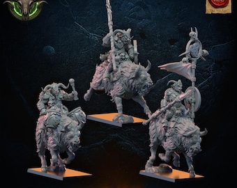 3d Printed Wildhorn Riders by Lost Kingdom Miniatures