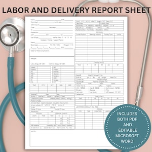 Labor and Delivery Nurse Report Template, L&D Shift Note, Labor Documentation Tool, Mother and Baby Record Log, Maternity Postpartum Nursing