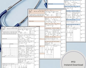 ICU Nurse Assessment Printable,Head to Toe,Nurse Report Sheet,Admission,Nurse Notes,Documentation,RN Tool,ICU Charting,Organized Shift