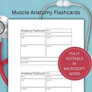 Puede incluir: Tarjetas didácticas blancas para la anatomía muscular con secciones para completar, incluyendo músculo, origen e inserción. Se ve un estetoscopio rojo y el texto "Muscle Anatomy Flashcards". Un círculo rojo indica "FULLY EDITABLE IN MICROSOFT WORD".
