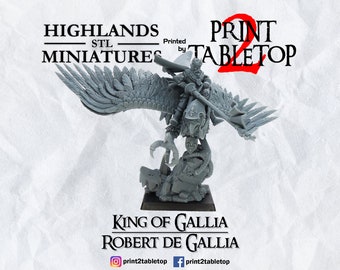 Gallia Robert de Gallia | Character | 28mm | 32mm | Highlands Miniatures | Fantasy Miniature