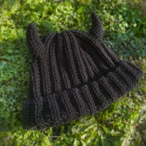Crochet Devil Horn Beanie