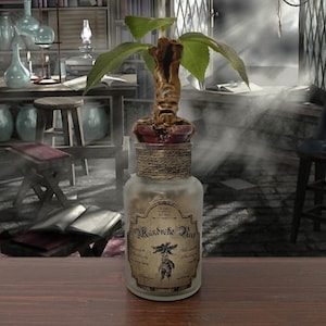 Könnte beinhalten: Eine Alraune-Pflanze in einer Glasflasche mit Etikett. Die Pflanze hat einen braunen, wurzelartigen Körper mit einem Gesicht und grünen Blättern. Die Flasche ist mit einem Korken und Bindfaden verschlossen. Das Etikett lautet "Mandrake Root".