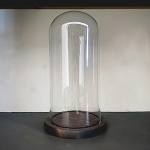 Présentoir dôme en verre avec base en bois
