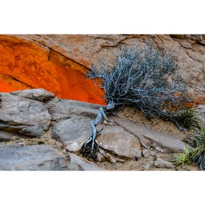 Mesa Arch Sunrise Print: Canyonlands National Park Wall Art