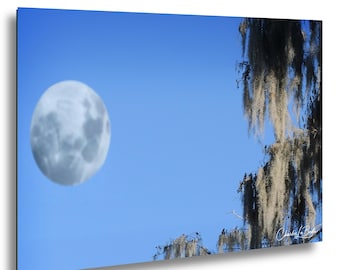 Wydruk fotografii o wschodzie słońca w zatoce Louisiana Bayou – dekoracja ścienna z krajobrazem wybrzeża Zatoki Meksykańskiej