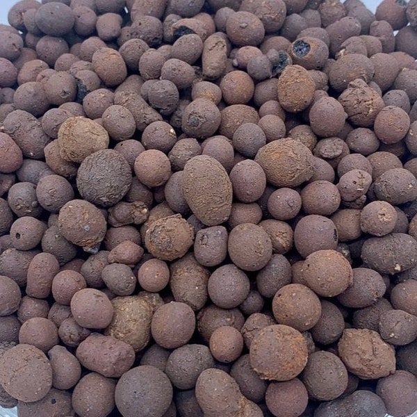 LECA Balls | Lightweight Expanded Clay Aggregate | Semi-Hydro | Soil Alternative | Great For Plants | Eliminate Fungus Gnats | Healthy Roots