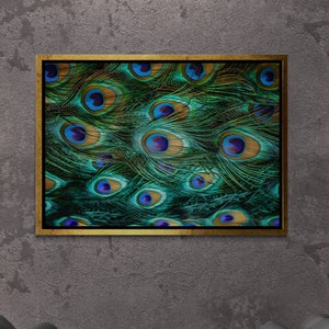 Peacock Feather Wall Art, Colorful Feather Framed Canvas, Colorful Peacock, Peacock Feather Canvas, Large Wall Art, Gold Framed Canvas