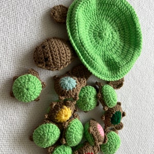 Peut inclure: Un ensemble de tortues en crochet vert, comprenant une tortue plus grande avec une carapace amovible. Les plus petites tortues ont des accents de couleur différents sur leurs carapaces.