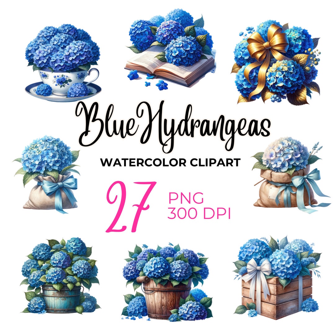 Blue Hydrangea Watercolor Clipart Bundle - Rustic Floral PNG Images - Etsy