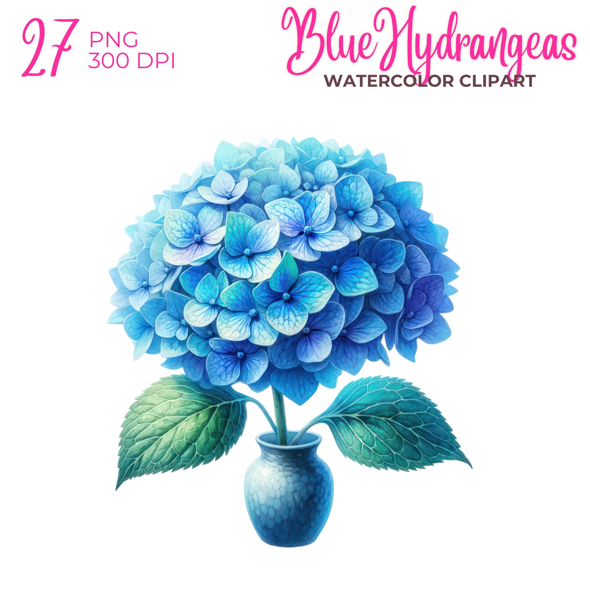 Blue Hydrangea Watercolor Clipart Bundle Rustic Floral PNG Images - Etsy