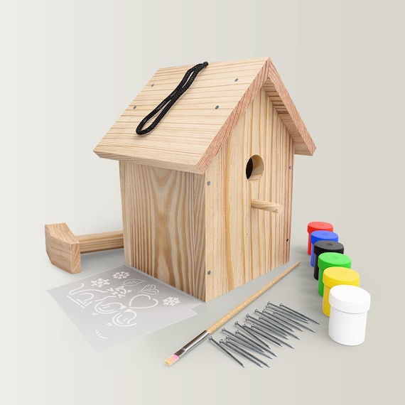 OTWVBU Lot de 3 kits de nichoir en bois à faire soi-même, kits de peinture pour enfants, comprend un nichoir en bois brut, des peintures, des pinceaux, des cadeaux créatifs pour enfants