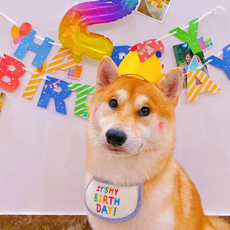 Custom Birthday Crowns Birthday Hat, 1st Birthday Crown, Hat for Babies and Pups Birthday Crown