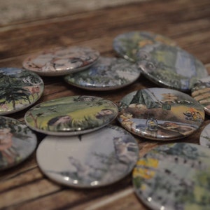 Könnte beinhalten: Eine Sammlung runder, bunter Knöpfe mit verschiedenen Naturmotiven. Die Knöpfe zeigen Szenen aus Wäldern, mit Tieren und Landschaften.