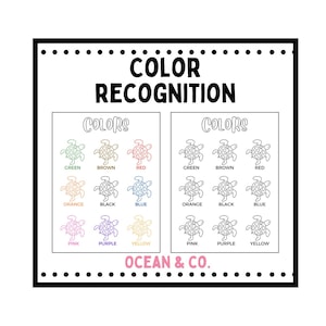 Colors Recognition & Practice Worksheet | Color Flashcards | Preschool Kindergarten
