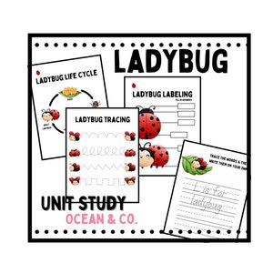 Ladybug Unit Study: Science, Labeling, Cutting & Pasting, Tracing, Drawing, Coloring | K - 3rd grade