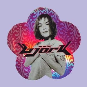 Bjork Holographic Sticker Grunge 90s Y2K