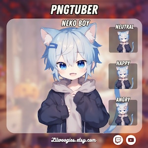 Cute Neko Boy PNGTuber | Kawaii | Ready For Twitch | VTuber Avatar Streaming | Vtuber Assets | OBS | Premade PNG Tuber | Discord
