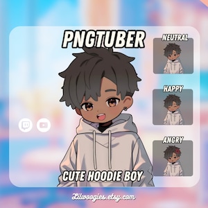 Cute Hoodie Boy PNGTuber | Kawaii | Ready For Twitch | Streamlabs | VTuber Avatar Streaming | Vtuber Assets | OBS | Premade | Discord
