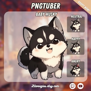 May include: A cartoon illustration of a black and white baby husky with a happy expression. The image is labeled "PNGTUBER BABY HUSKY" and includes three variations of the husky with different expressions: neutral, happy, and angry.
