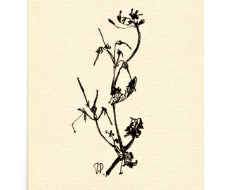 Wildflower Ink Drawing Art Print: Minimalist Botanical Illustration