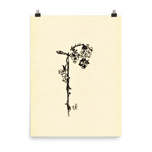 Botanische Zeichnung, Kräuter Zeichnung, Tuschezeichnung. Kräuterbilder, One Line Drawing, Botanische Studie. Floral Line Art Minimalistisches Kräuter Poster.