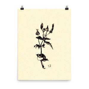 Blumen Linie Zeichnung, Fine Art Print, One Line Art Poster, Blumen One Line, Botanische Wand Kunst Poster, Minimalistische Line Art, Kräuter Poster