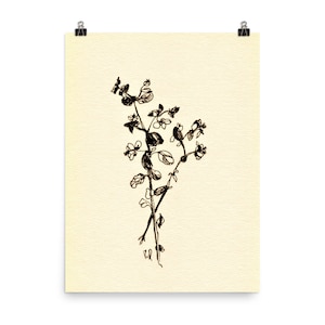 Botanische Skizze, Floral Line Art Minimalistische Botanische Bilder. Kleine Geschenke, Neues Wohnung Geschenk, Wiese Zeichnung, Kräuterdruck, Tusche Zeichnung