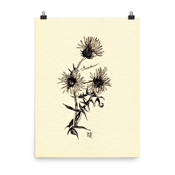 Scottish Thistle, Wildflower Meadow, Botanical Sketch Print Ink Drawing. Small Presents, Meadow Drawing, Wildflowers Sketch Antique Look.