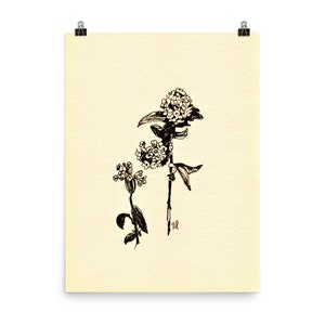 Botanische Zeichnung, Kräuter Bilder Wallart Prints. Tusche Zeichnung Einfache Blumen Malerei Botanische Bilder. Kleine Geschenke für die beste Freundin