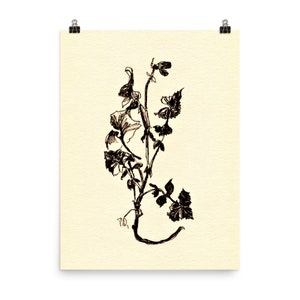 Blume Linie Zeichnung, Fine Art Prints, Naturstudie Blume One Line Ink Zeichnung, Wildblumen Zeichnung, Kräuter Poster, Kleine Botanische Kunst Skizze