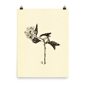 Herb Photos Tuschezeichnung, Kräuter Zeichnung, Tuschezeichnung Wildblumen, botanische Zeichnung, kleine Geschenke, realistische Wildblumen Zeichnung