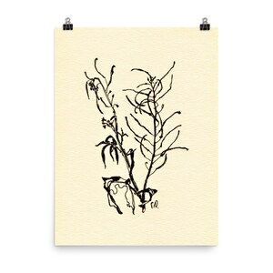 Flor Uma Linha, Impressão de Belas Artes, Pôster Botânico, Arte de Linha Minimalista, Arte de Parede Botânica, Desenho de Flor Silvestre Preto e Branco, Pôster de Ervas