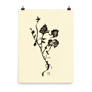 Dessin au trait fleur, dessin au trait minimaliste, impression d'art, dessin floral à la plume et à l'encre, dessin au trait fleur, affiche botanique blanc noir