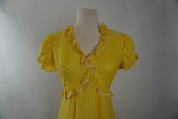 1970s swiss dot maxi dress | 1970s maxi dress | 7… - image 2