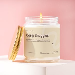 Corgi Gift Candle Quirky Dog Lover Candle Funny Snuggle Candle Unique Gift for Corgi Lovers Pet Parent Gift V850