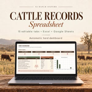 Pode incluir: Uma planilha digital de registros de gado exibida na tela de um laptop, com 15 abas editáveis para Excel e Google Sheets. A tela mostra um painel de controle do rebanho com métricas de animais ativos, fêmeas reprodutoras e despesas.