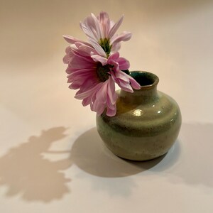 May include: A small, round, glazed ceramic vase with a mottled sage green and brown finish. The vase has a narrow neck and a wide, bulbous body. A single stem with two light pink daisy-like flowers is placed inside the opening of the vase.