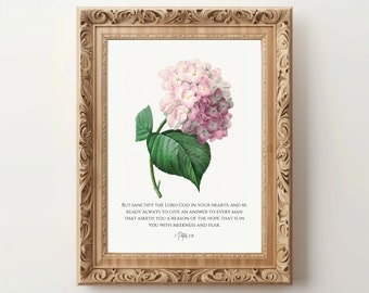 KJV / Arte de la pared de las Escrituras / 1 Pedro 3 15 / Impresión de hortensias rosadas / Flor antigua / Arte del versículo bíblico / Impresión cristiana vintage