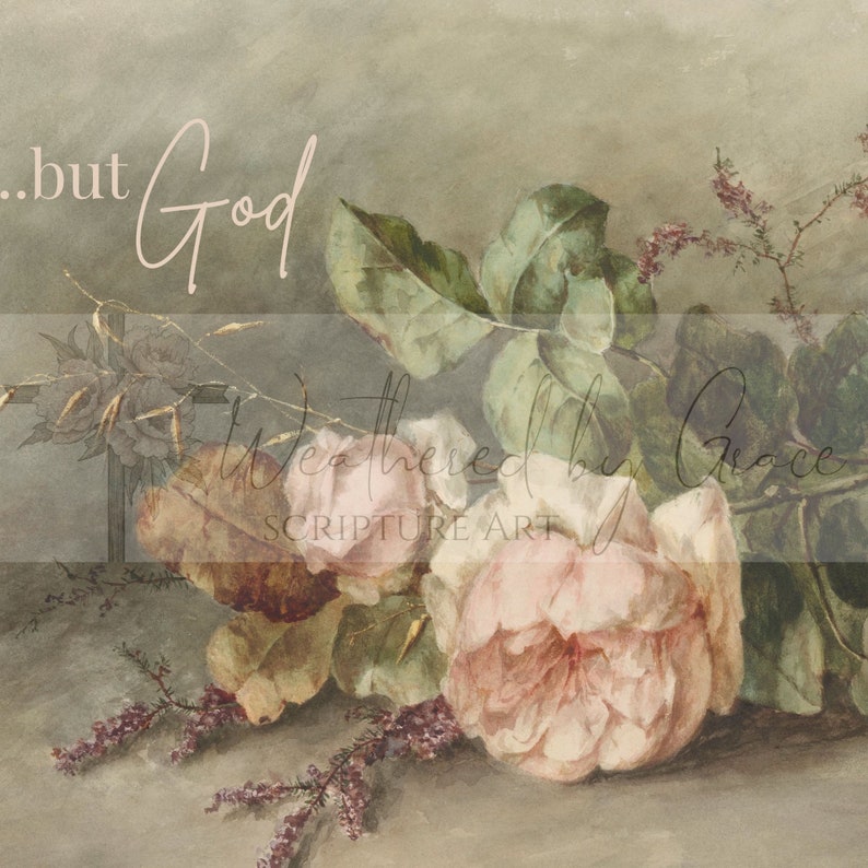 Scripture Wall Art | but God Pastel Rose Print | Antique Pink Rose ...