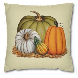 Farmhouse Pumpkin Pillow Cover: Autumn Thanksgiving Decor