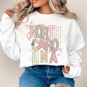 North Carolina Sweatshirt: Pastel State Pride Pullover