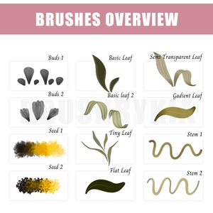 May include: A digital illustration of 12 different brush strokes for creating flower and plant illustrations. The brush strokes include buds, leaves, stems, and seeds.