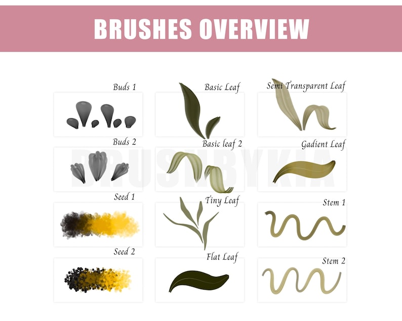 May include: A digital illustration of 12 different brush strokes for creating flower and plant illustrations. The brush strokes include buds, leaves, stems, and seeds.