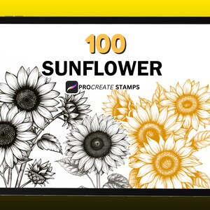 100 sellos de girasol para Procreate, sello de flor de girasol, sellos de girasol botánico para Procreate, sellos florales, descarga digital instantánea
