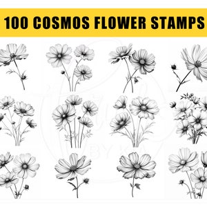 May include: A set of 100 black and white cosmos flower stamps. The stamps feature detailed drawings of cosmos flowers in various arrangements.