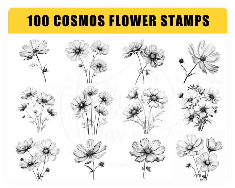 May include: A set of 100 black and white cosmos flower stamps. The stamps feature detailed drawings of cosmos flowers in various arrangements.